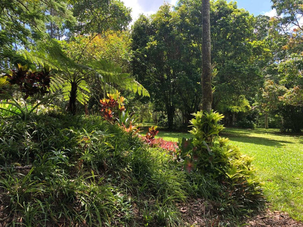 Honeybee House Vila Kuranda Exterior foto
