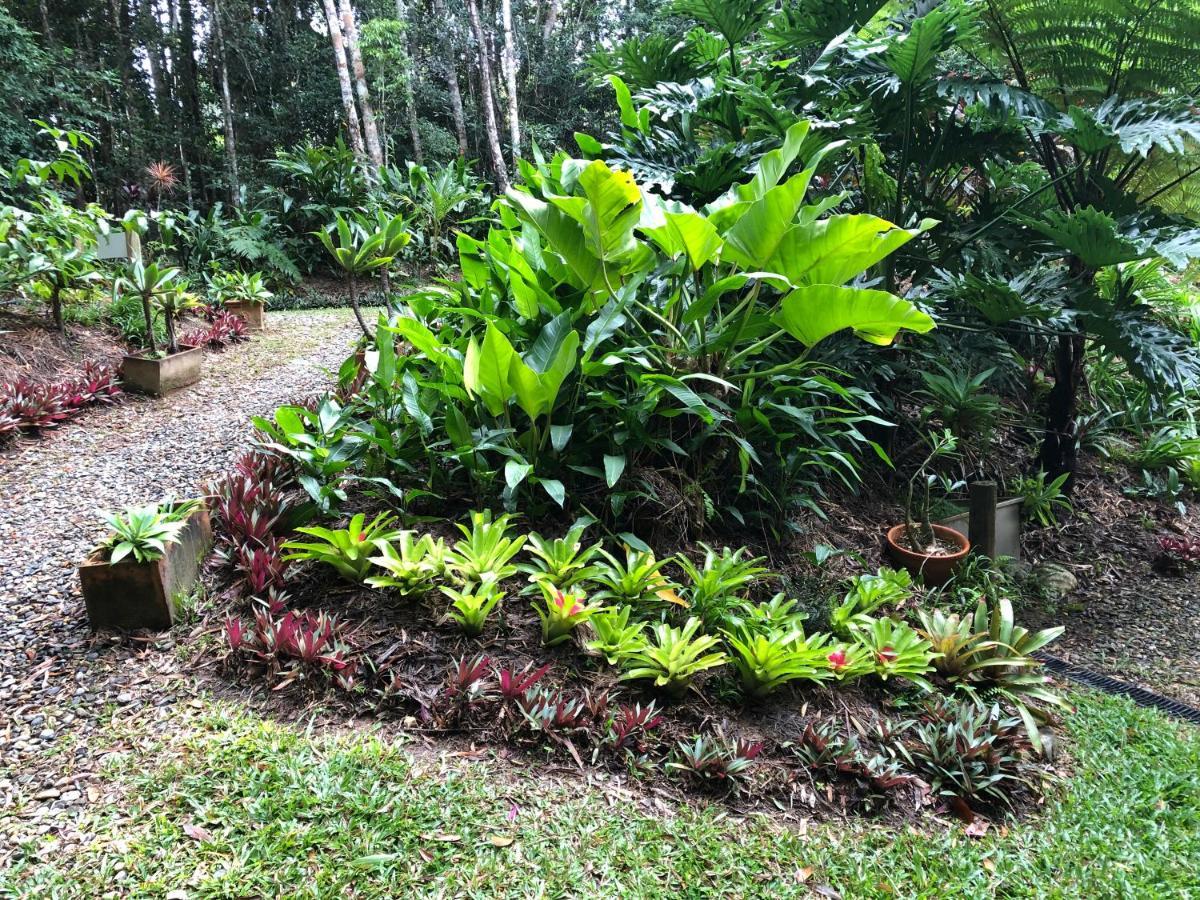 Honeybee House Vila Kuranda Exterior foto
