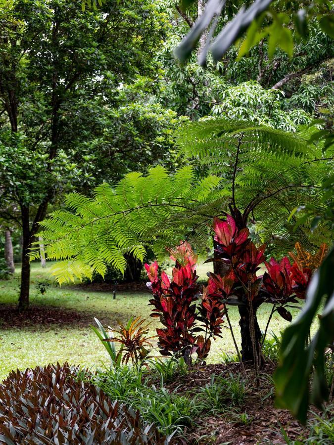 Honeybee House Vila Kuranda Exterior foto